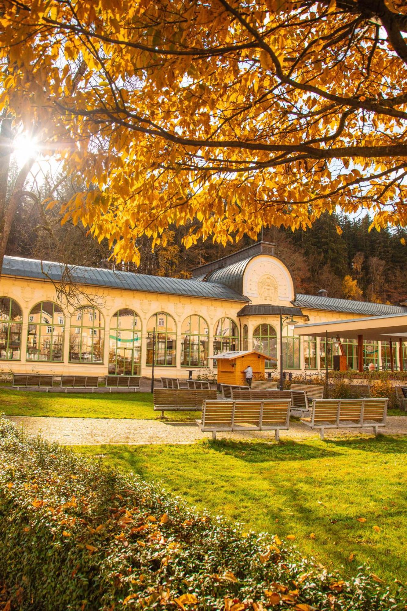 Horsky Dum Olympia Chalet *